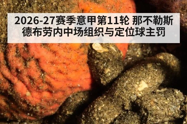 2026-27赛季意甲第11轮 那不勒斯德布劳内中场组织与定位球主罚（hth）